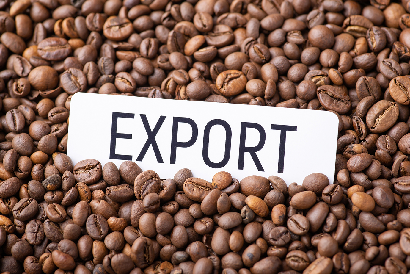 January 2023 Ethiopian Coffee Exporters Blog
